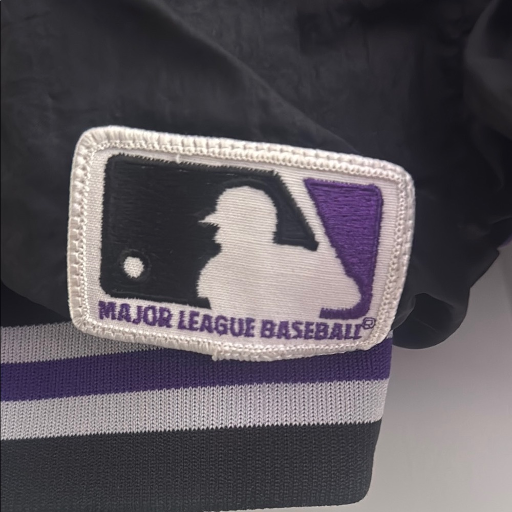 Purple and Black Hooded Jacket - Picture 2 of 4